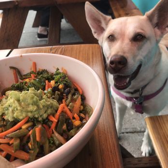 Cha Cha Cha Taqueria - Wholesome Bowl - Mexican Near Me - Portland, Oregon