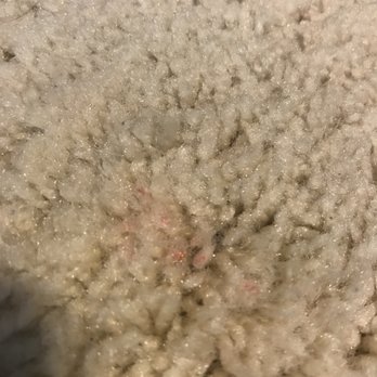 CityWide Carpet Cleaning - Carpet Cleaning Near Me CityWide Carpet Cleaning - Carpet Cleaning Near Me