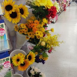 ダイソー長原東急ストア店 Discount Store 上池台1 10 10 大田区 東京都 Japan Phone Number Yelp