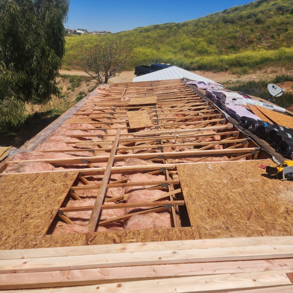 Slide of Matra Painting