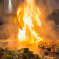 Nami Japanese Restaurants - I've eaten at Nami a few times. The food is extremely fresh and the service is excellent. I highly recommend it to my friends.