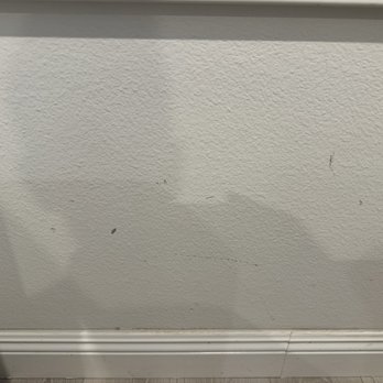 Empire Today - Carpet Installation Near Me