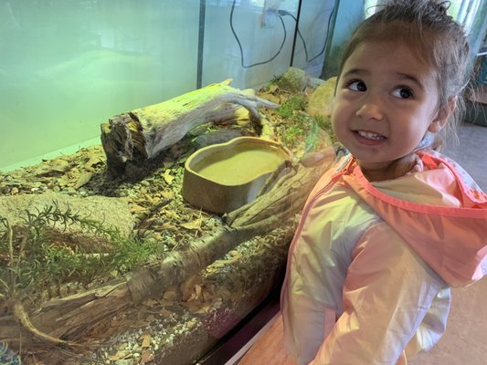 Cape Cod Museum Of Natural History by null