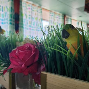 Velasco's Mexican Restaurant - a rose in a vase - Mexican Near Me - Prather, California Velasco's Mexican Restaurant - a rose in a vase - Mexican Near Me - Prather, California