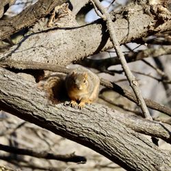 Sedgwick County Park