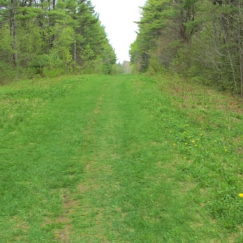 Penny Lake Preserve - A very green place - Parks Near Me - Boothbay Harbor, Maine Penny Lake Preserve - A very green place - Parks Near Me - Boothbay Harbor, Maine
