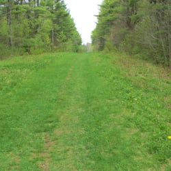 Penny Lake Preserve - A very green place