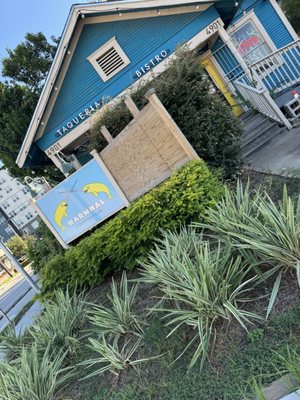 Narwhal Jousting Club by null