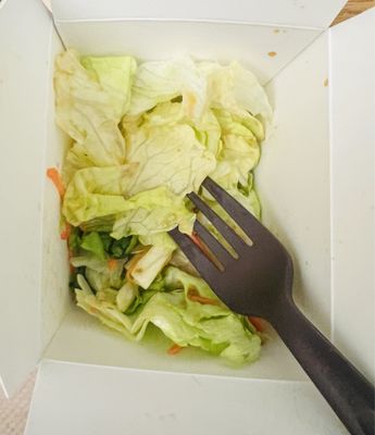 Hurry Curry of Tokyo - South Lake Union by null