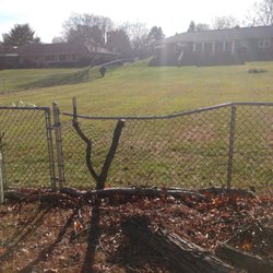 TW Handyman - Tree limbs fell on neighbor chain link fence. Need about ten feet replacement and green covered link fence