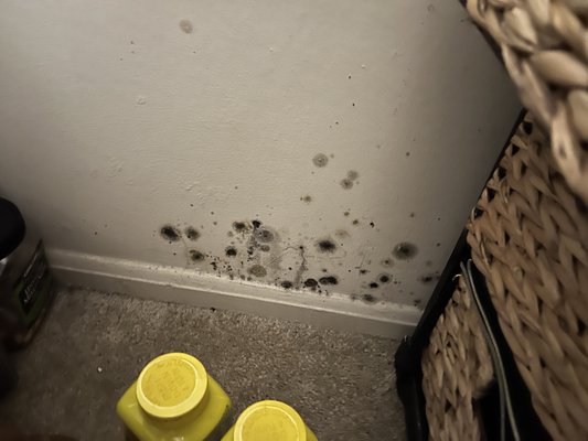 Hillsdale Shopping Center by null