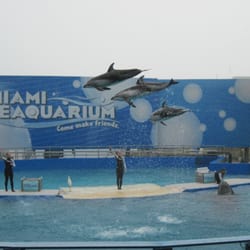 Miami Seaquarium
