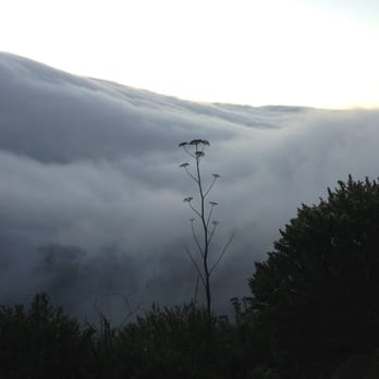 Marin Headlands - This morning the view is a little different on top of the Headlands - Parks Near Me - Sausalito, California