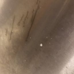 Every bathroom stall in the food court.