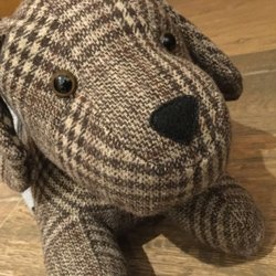 Tikitibü - Barkley helps to keep drafts at bay...