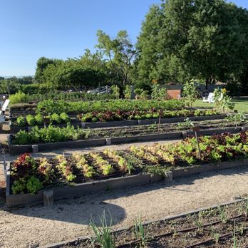 Brix - Garden grounds - New American Near Me - Napa, California