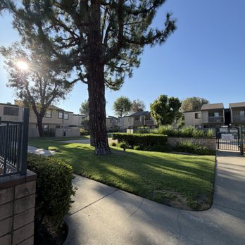 Spring Tree Apartments - Walking paths through the complex - Apartments Near Me - Chino, California Spring Tree Apartments - Walking paths through the complex - Apartments Near Me - Chino, California