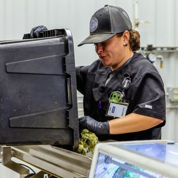 Pecos Valley Production - Cannabis Dispensaries Near Me - Edgewood, New Mexico Pecos Valley Production - Cannabis Dispensaries Near Me - Edgewood, New Mexico