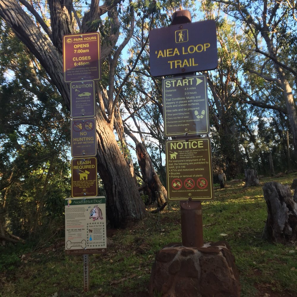 Aiea Loop Trail - Hiking Near Me - Aiea, Hawaii