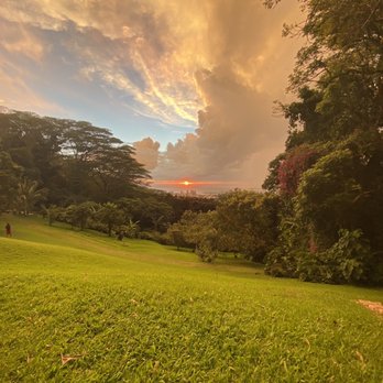 Experience Nutridge - Sunset - Performing Arts Near Me - Honolulu, Hawaii