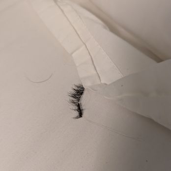 Curtis Inn - The fake eyelashe and hair we found in the bed - Hotels Near Me - Hollywood, Florida Curtis Inn - The fake eyelashe and hair we found in the bed - Hotels Near Me - Hollywood, Florida