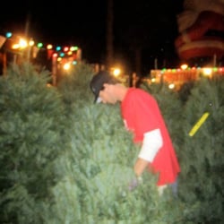 Xmas Tree Country