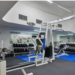 Mega Fitness