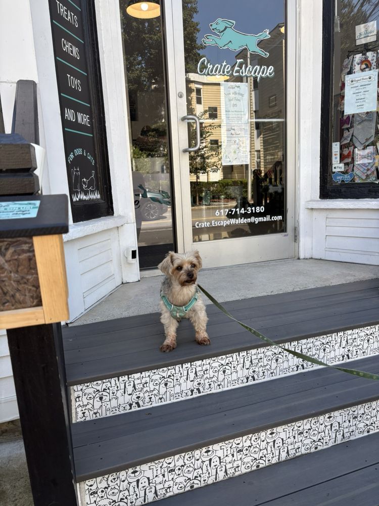 Crate-Escape - pet boarding facility in Cambridge, MA