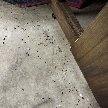 CubeSmart Self Storage - Rat poop everywhere - Self Storage Near Me - Dania Beach, Florida