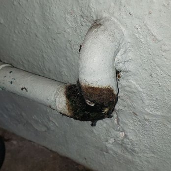 LOG Water Service - Main water line leak. - Plumbing Near Me LOG Water Service - Main water line leak. - Plumbing Near Me