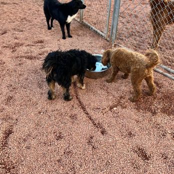 Liberty Bark - Outdoor area at daycare/boarding - Pet Boarding Near Me - Salt Lake City, Utah Liberty Bark - Outdoor area at daycare/boarding - Pet Boarding Near Me - Salt Lake City, Utah