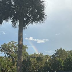 Encore Bulow - Photo of a rainbow I caught while being at the pool!