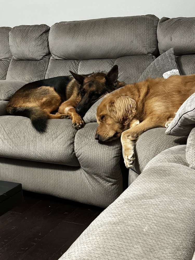 RILEY’S PET MARKET Updated August 2024 72 Photos 2550 Madison St, Clarksville, Tennessee