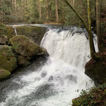 Whatcom Falls Park - Dog Parks Near Me - Bellingham, Washington
