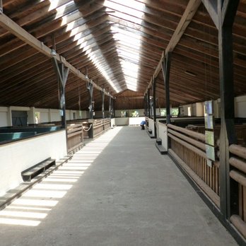 Tierpark Arche Warder - Zoos Near Me - Warder, SH
