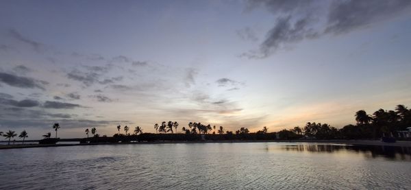 Matheson Hammock Park & Marina by null