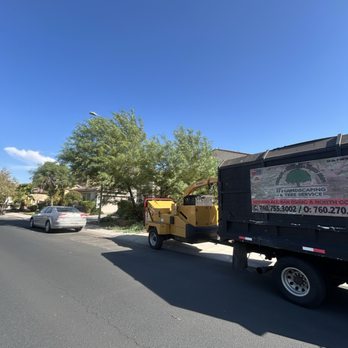 Tree Solution Pros - Tree Services Near Me - Surprise, Arizona Tree Solution Pros - Tree Services Near Me - Surprise, Arizona
