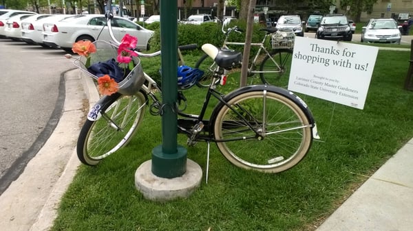 Larimer County Farmers' Market by null