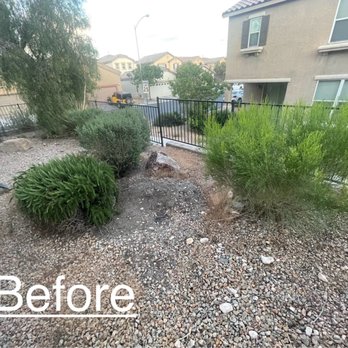 EG Tree Service - Tree Services Near Me EG Tree Service - Tree Services Near Me