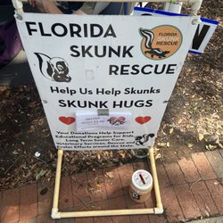 Safety Harbor's Market on Main - Skunk hugs!