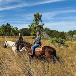 Lazy H Ranch