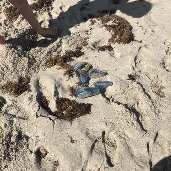 Hallandale Beach - Kids lol - Beaches Near Me - Hallandale Beach, Florida