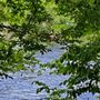 Photo of Landsford Canal State Park