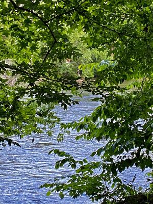 Landsford Canal State Park by null