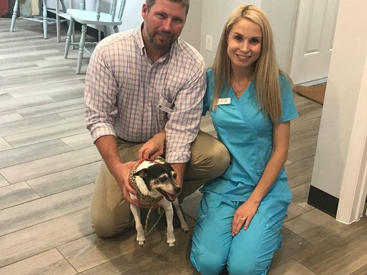 OAKES ANIMAL HOSPITAL - 11 Photos & 13 Reviews - 11101 Roberson Rd