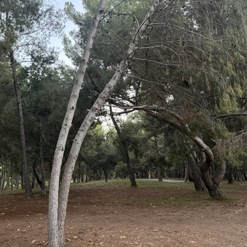 Yorba Regional Park - Parks Near Me - Anaheim, California Yorba Regional Park - Parks Near Me - Anaheim, California