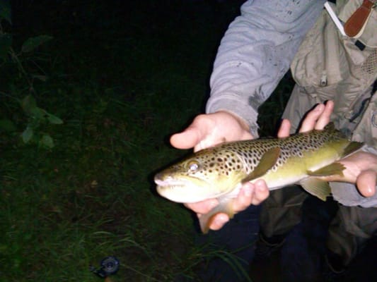 The Driftless Flyfishing Company