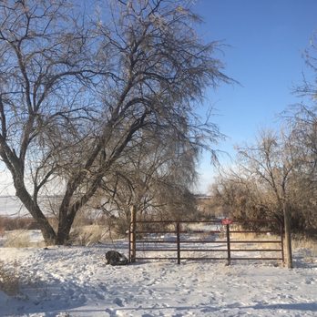 Willow Bay Campground - RV Parks Near Me - American Falls, Idaho