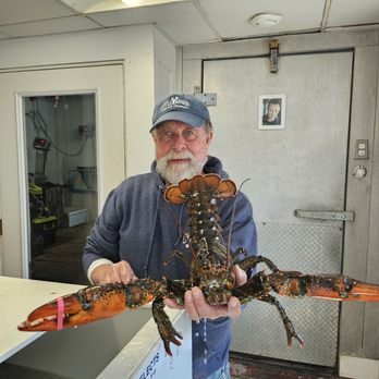 Little Harbor Lobster - Live Lobster - Seafood Markets Near Me - Marblehead, Massachusetts Little Harbor Lobster - Live Lobster - Seafood Markets Near Me - Marblehead, Massachusetts