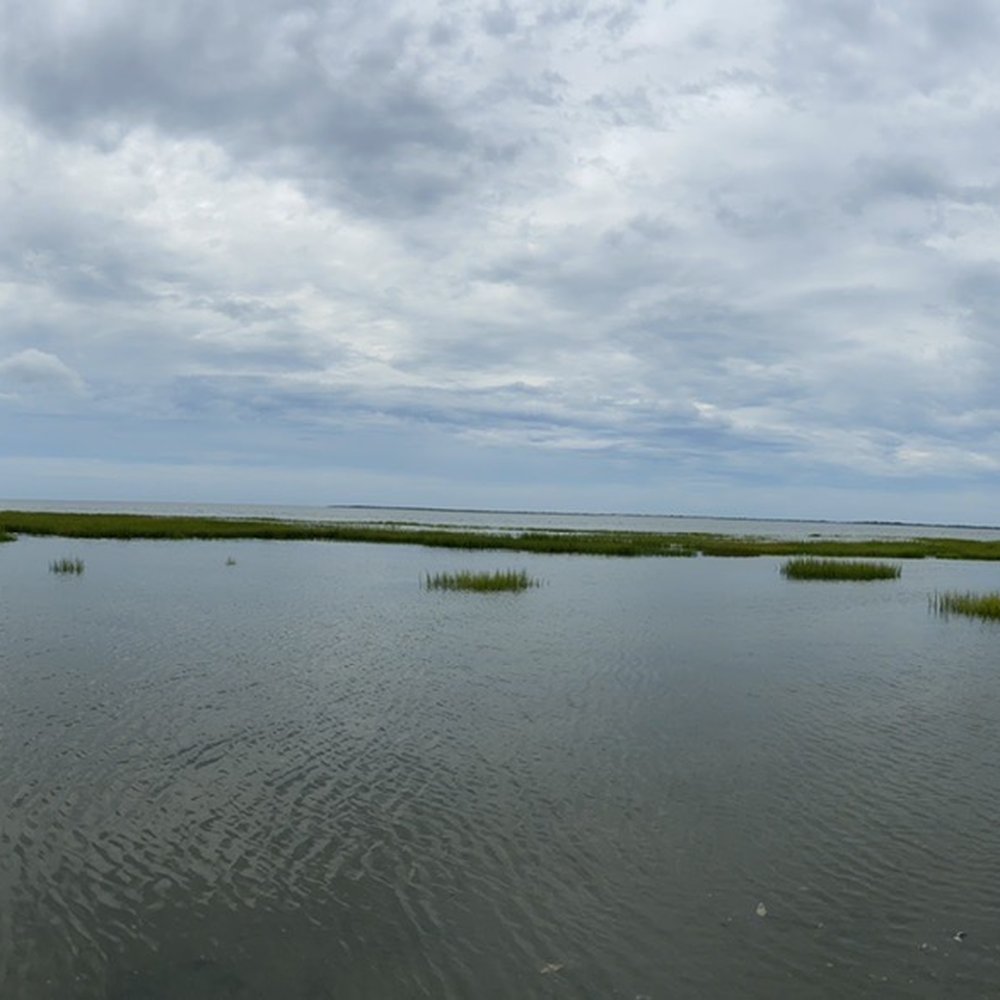 Southeast Expeditions - Raccoon Island - Rafting/Kayaking Near Me - Cape Charles, Virginia Southeast Expeditions - Raccoon Island - Rafting/Kayaking Near Me - Cape Charles, Virginia